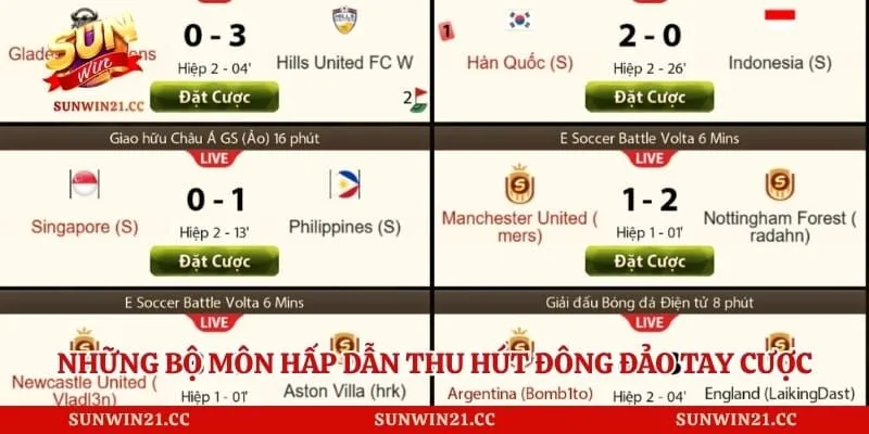 Những bộ môn hấp dẫn thu hút đông đảo tay cược