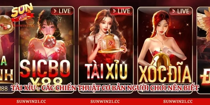 Tài Xỉu - Các Chiến Thuật Cơ Bản Người Chơi Nên Biết 1 Tài Xỉu - Các Chiến Thuật Cơ Bản Người Chơi Nên Biết