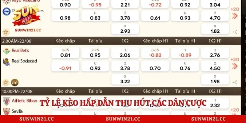 Cmd368 - Sân Cược Thể Thao Online Đa Dạng Và Hiện Đại 3 Tỷ lệ kèo hấp dẫn thu hút các dân cược